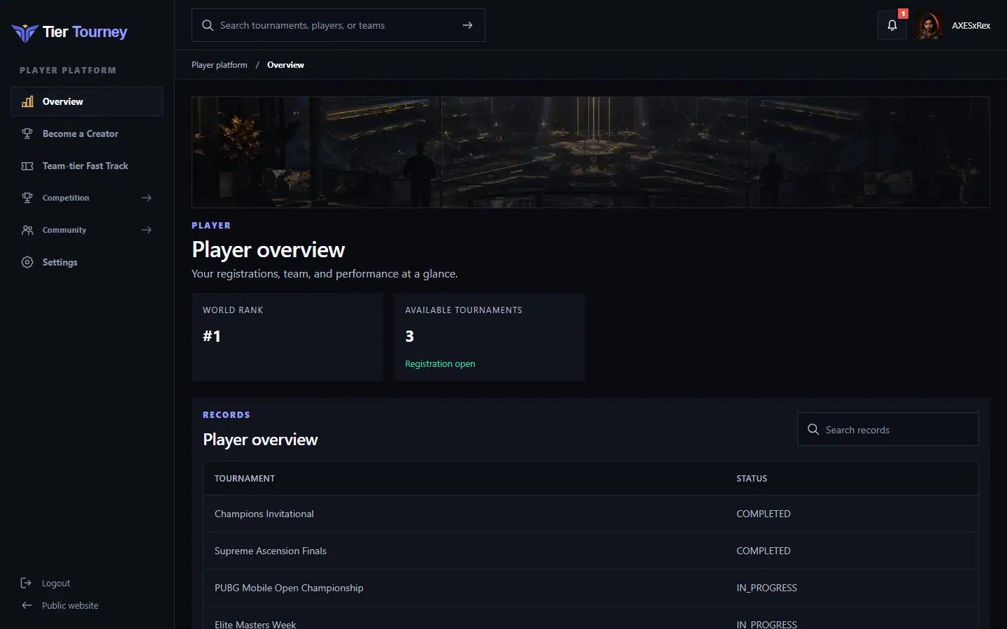 Player overview - Tier Tourney screenshot