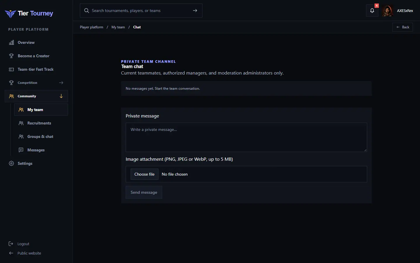 Private team chat - Tier Tourney screenshot