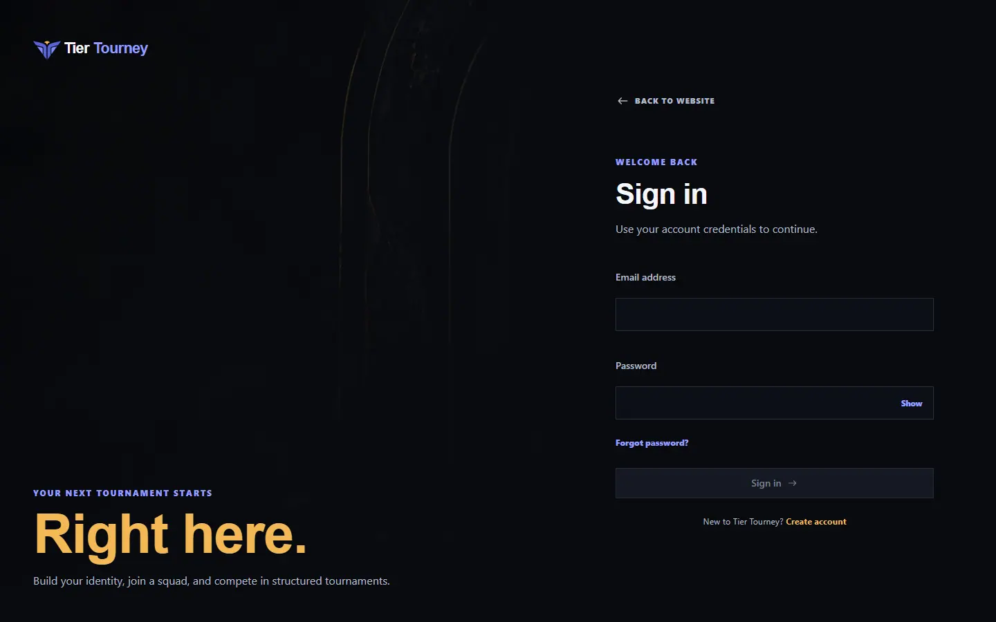 Sign in - Tier Tourney screenshot